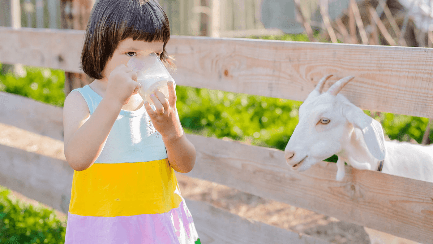 Goat Milk Benefits: 12 Science-Backed Health Benefits (2026 Guide)